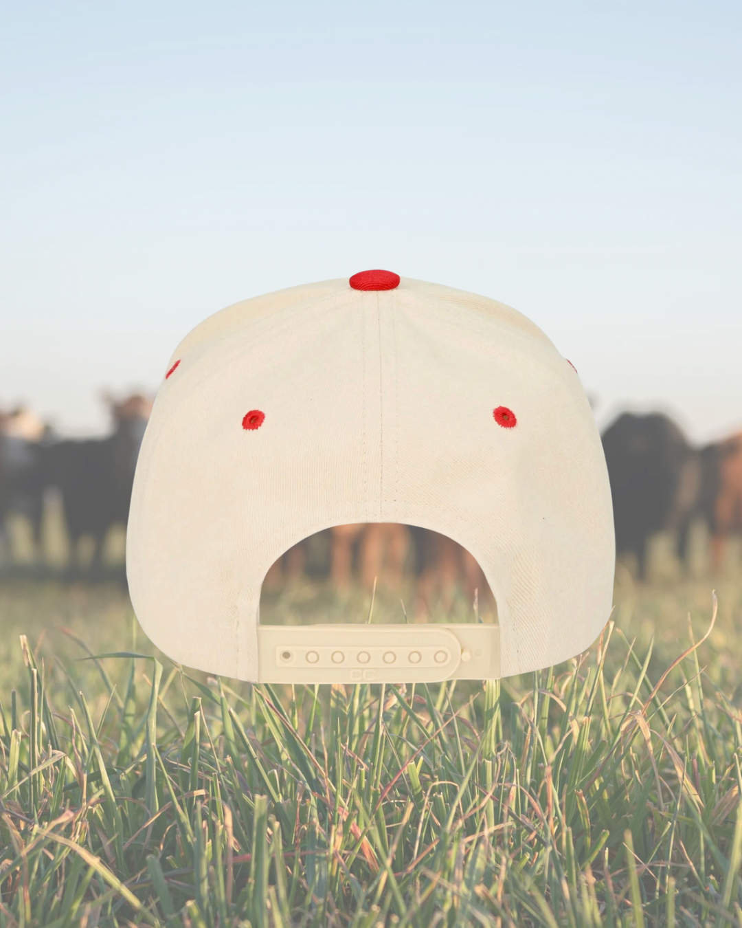 Red Sorry About My Husband Embroidered SnapBack Trucker Hat