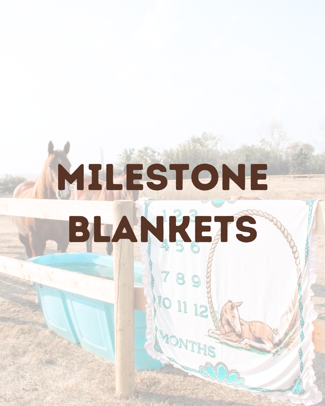 Milestone Blankets