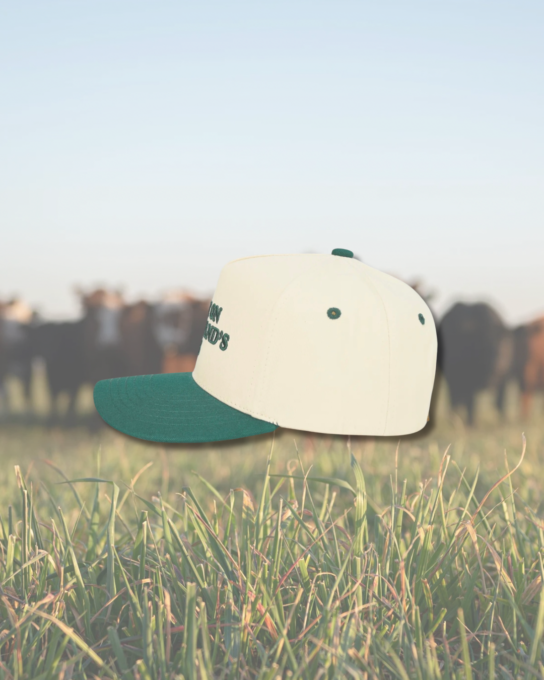 Green Put it on my Husband’s Tab Embroidered SnapBack Trucker Hat