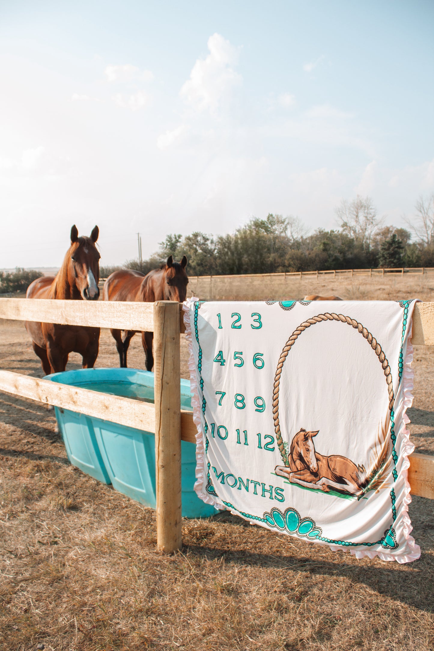 Cowgirl Milestone Blanket