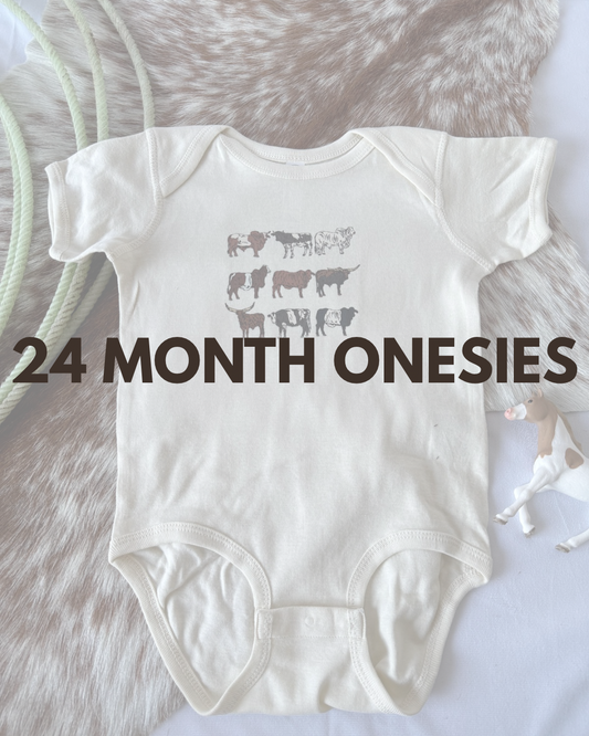 24 Month Onesies