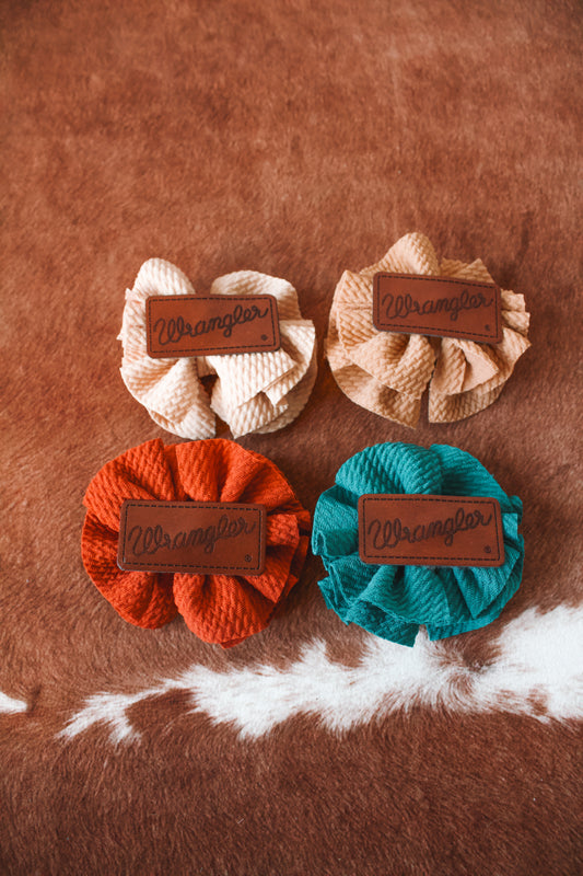 Small Wrangler Hair Clips