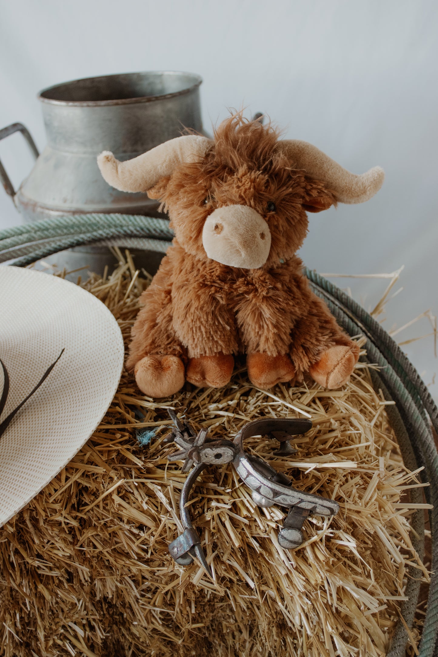 Highland Cow Plush - 18 cm