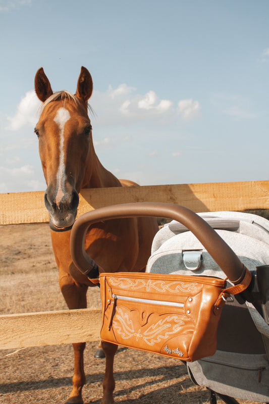 Nash Saddle Stroller + Wagon Caddy