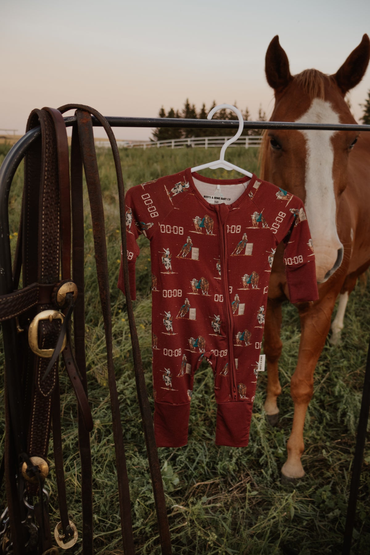 Rodeo Nights